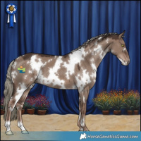 Horse Color:White Spotted Liver Red Dun Mushroom 