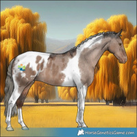 Horse Color:Liver Red Dun Mushroom Tobiano Appaloosa 