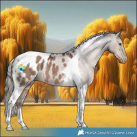 Horse Color:Liver Red Dun Mushroom Tobiano Blanket 