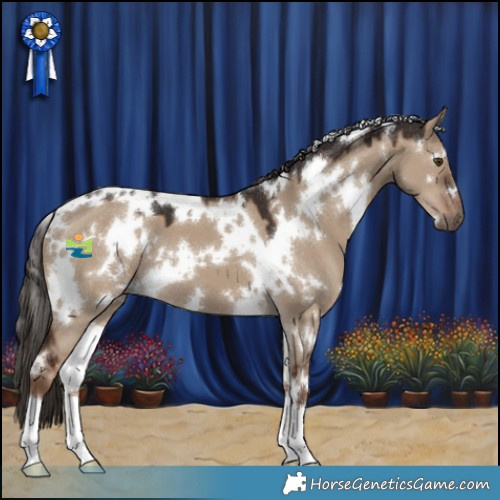 Horse Color:White Spotted Liver Red Dun 