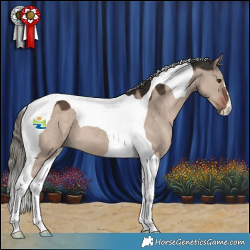 Horse Color:Liver Red Dun Mushroom Tobiano 