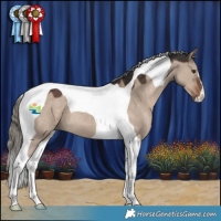 Horse Color:Liver Red Dun Mushroom Tobiano