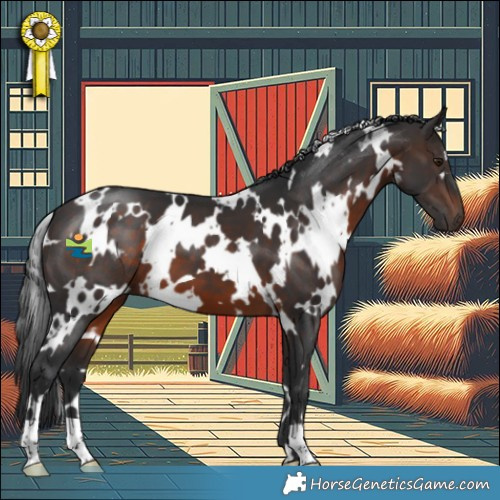 Horse Color:White Spotted Brown 