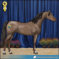 Horse Color:Liver Red Dun 