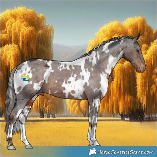 Horse Color:White Spotted Liver Chestnut Appaloosa 