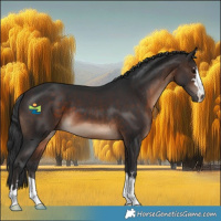 Horse Color:Brown 