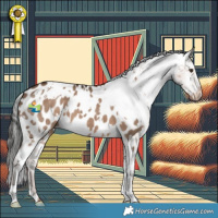 Horse Color:White Spotted Liver Red Dun Appaloosa 