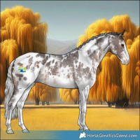 Horse Color:White Spotted Silver Brown Appaloosa 