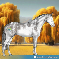 Horse Color:White Spotted Brown Splash 