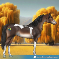 Horse Color:Brown Tobiano 