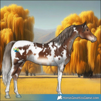 Horse Color:White Spotted Liver Chestnut Tobiano 