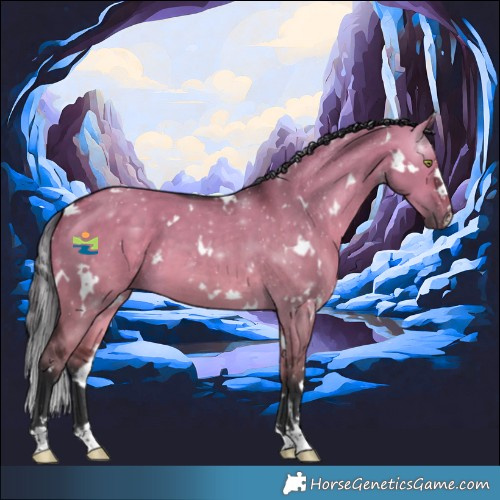 Horse Color:White Spotted Brown Dun 