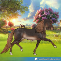 Horse Color:Liver Chestnut Rabicano 