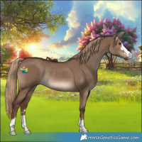 Horse Color:Liver Red Dun Rabicano 