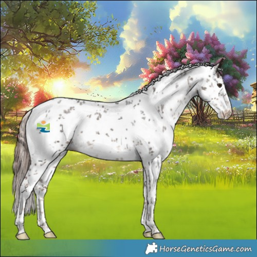 Horse Color:White Spotted Liver Chestnut Sabino Rabicano 