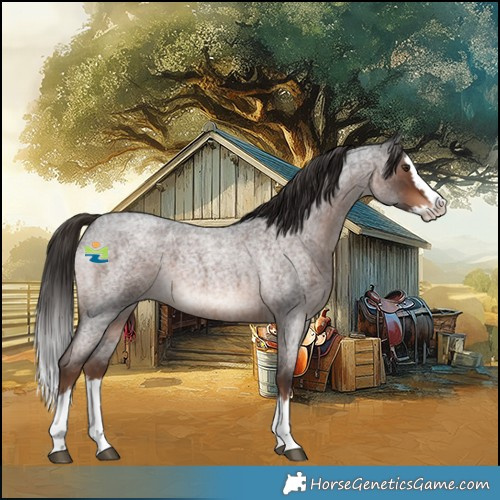 Horse Color:Liver Red Roan Splash 