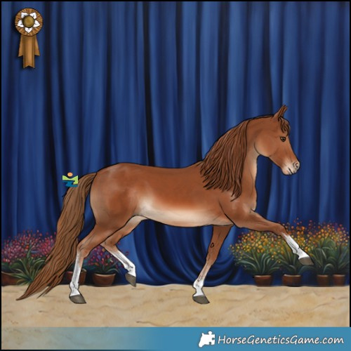 Horse Color:White Spotted Chestnut 