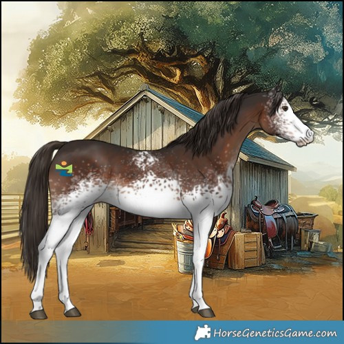 Horse Color:White Spotted Liver Chestnut 