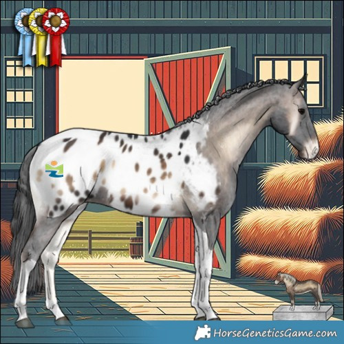 Horse Color:Brown Onyx Tobiano Appaloosa 
