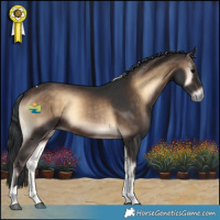 Horse Color:Brown Onyx Tobiano Rabicano 