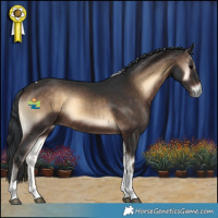Horse Color:Brown Onyx Tobiano Rabicano 