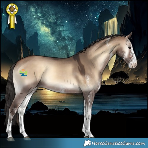 Horse Color:White Spotted Bay Onyx 