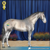 Horse Color:White Spotted Brown Onyx Varnish 