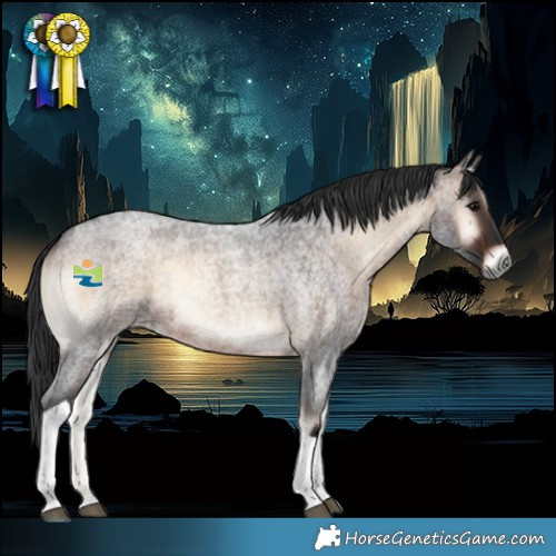 Horse Color:Brown Roan Onyx Tobiano Rabicano 