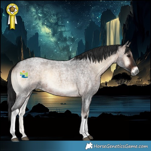 Horse Color:Brown Roan Onyx Tobiano Rabicano 