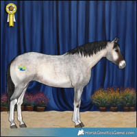 Horse Color:Brown Roan Onyx Tobiano Rabicano