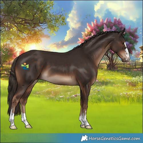 Horse Color:Liver Chestnut 