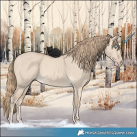 Horse Color:Perlino Dun 