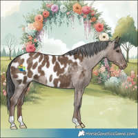 Horse Color:Liver Red Dun Appaloosa Brindle 