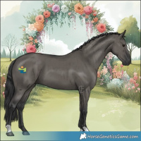 Horse Color:Grullo Brindle 