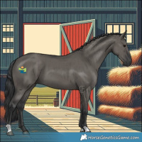 Horse Color:Grullo Brindle 