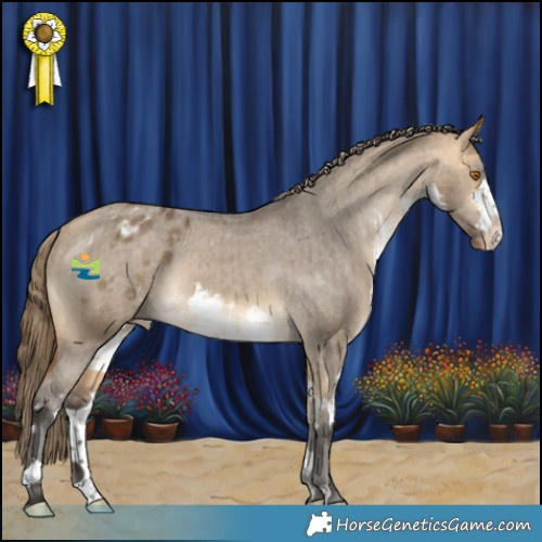 Horse Color:White Spotted Buckskin Dun Appaloosa Brindle 