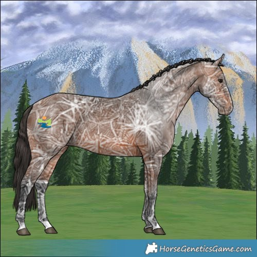 Horse Color:Bay Ice 