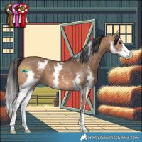 Horse Color:Bay Dun Sabino 
