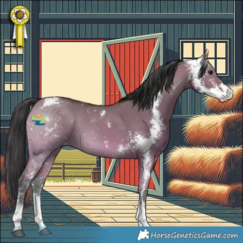 Horse Color:Bay Dun Sabino 