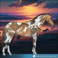 Horse Color:White Spotted Buckskin 