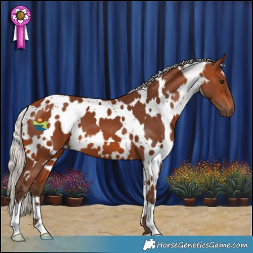 Horse Color:White Spotted Silver Brown 
