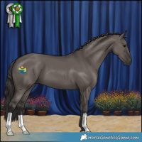 Horse Color:Smoky Grullo 