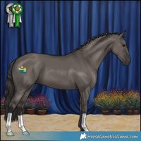 Horse Color:Smoky Grullo
