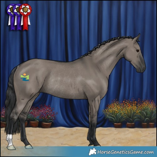 Horse Color:Grullo Rabicano 