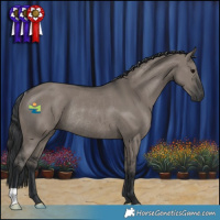 Horse Color:Grullo Rabicano 