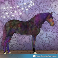 Horse Color:Void Nacre Brown Roan Dun