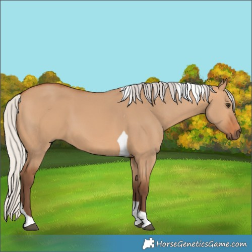 Horse Color:Silver Bay Dun Tobiano 