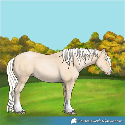 Horse Color:Silver Buckskin Pearl 