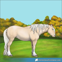 Horse Color:Silver Buckskin Pearl 