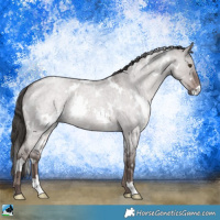 Horse Color:Platinum White Spotted Liver Red Dun Roan 